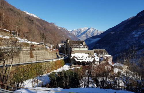 Coccinella House - Foto 15