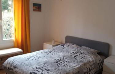 bougainvilliers - Foto 3