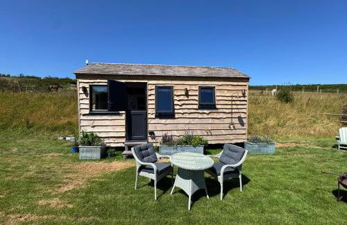 The Cabin at Salcombe Farm - Foto 24