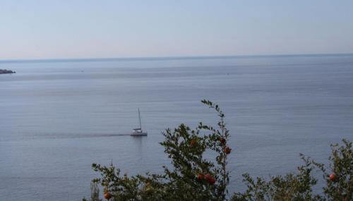 Apartman Anka - Foto 2