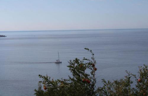 Apartman Anka - Photo 2