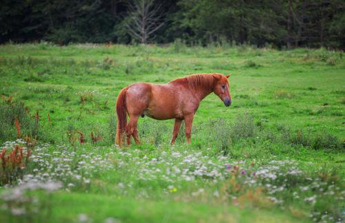Gutshof Dragefeld - Foto 37