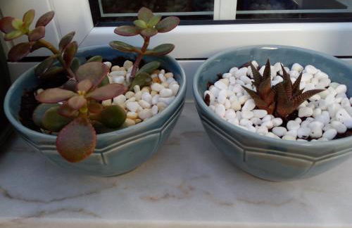 Estevas de Monsaraz - Foto 8