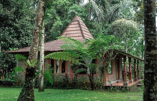 Saridevi Ecolodge Bali - Foto 15