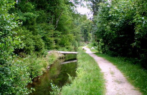 Gammerhof - Bauernhofurlaub in Waldkirchen - Foto 15