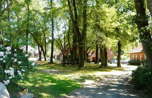 Ferienpension Lindenhof - Ferienwohnungen in der Lüneburger Heide - Foto 1