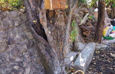 Casa de los Abuelos Albino - Foto 6