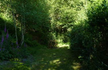 Pretty sunny cottage, Machynlleth - Photo 14