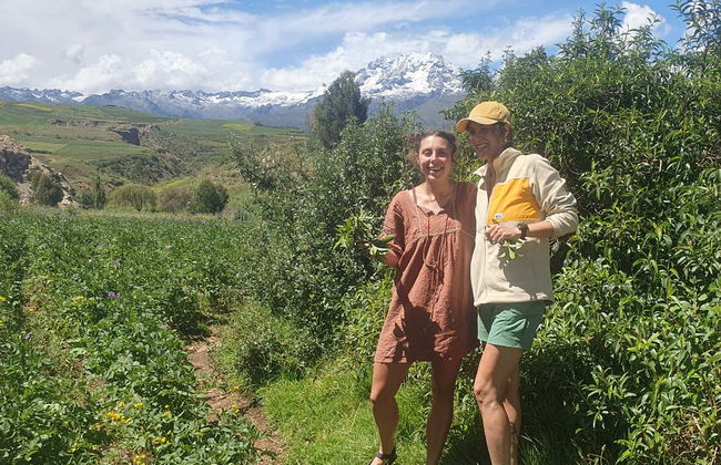 Visita a la comunidad Racchi Ayllu + Taller de tejido andino - Foto 5