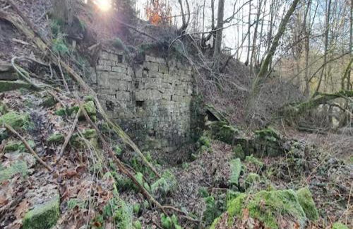 Spacious Farmhouse in Friedrichsfeld near Forest - Foto 47