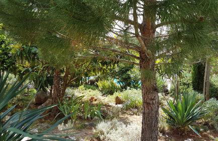 Apartments Villa Temer - Photo 68