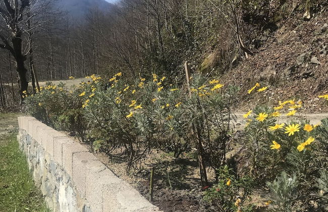 Baraka bungalov - Foto 31