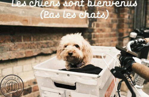 Parking privé - Jazz à Vienne 12 min - Gare - Balcon - Foto 15