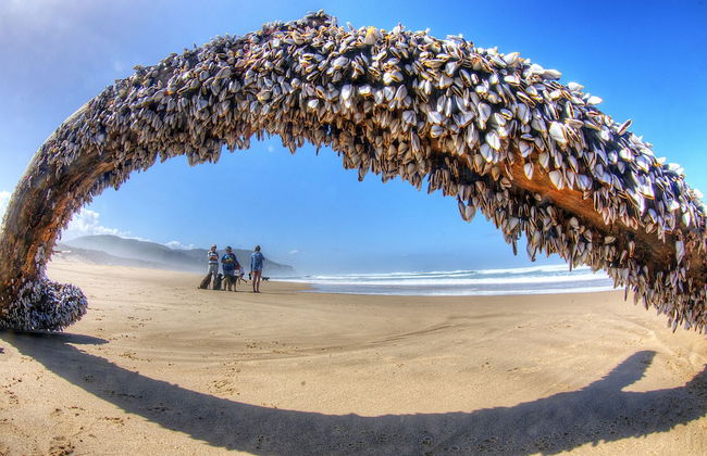 The Carraighs - Foto 29