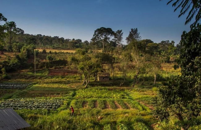 Bushbaby Lodge - Photo 13