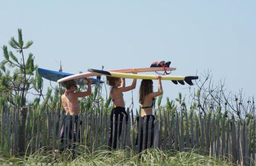 La Tomate Surfeuse 2 - Photo 10