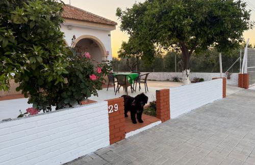 La Casa del Flamenco - Foto 70