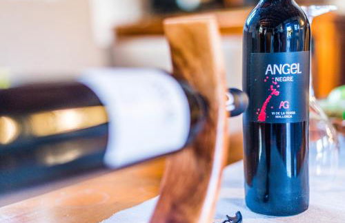 Agroturismo Ses Illes - Foto 138