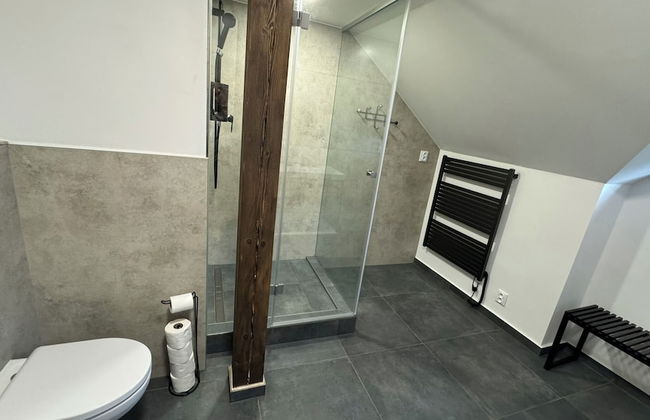 Family Apartments Černice - Foto 63