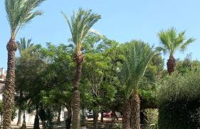 LagoVista45 - Foto 23