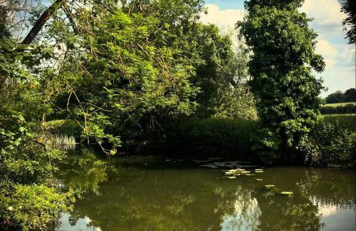 Lavender Cottage, Clare - Foto 20