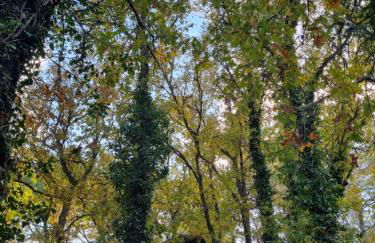 Casa da Ti Paqueta - Foto 20