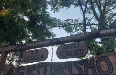 Agriturismo Quota 700 - Foto 3