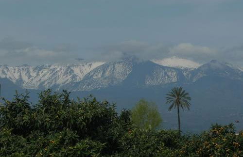 Palazzo Rosso - Foto 4