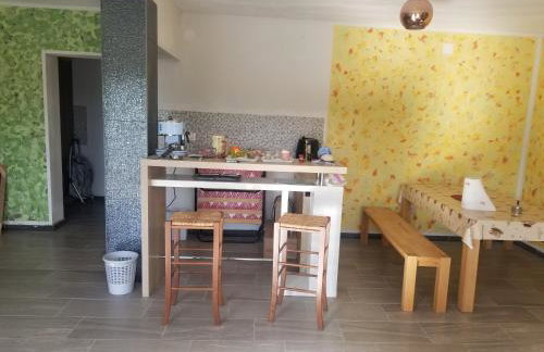 Primavera - Photo 14