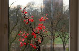 XXL Family & Friends Duplex nähe Messe & Sternschanze 14P - Foto 22