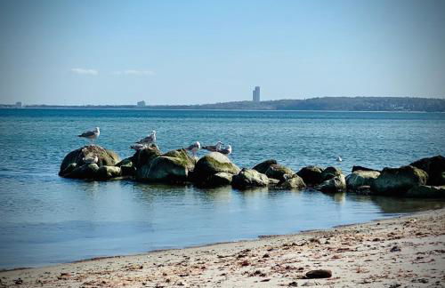 FeWo SONNENDECK Familien-strandnah-Garten-Hunde-Sport-und Schwimmbadnah-HansaPark - Foto 20