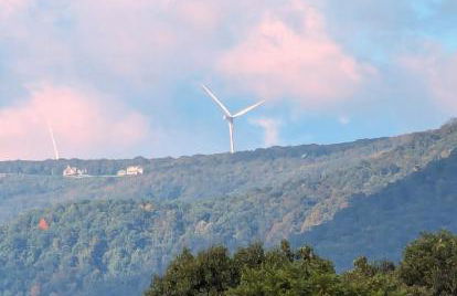 Relaxing Rustic Oasis II, Unit B - 6 minute walk to Downtown! Cyclists Welcome! - Foto 16