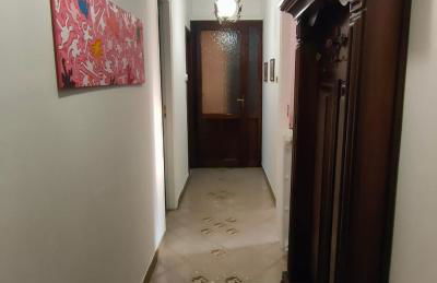 La Magnolia - Photo 17