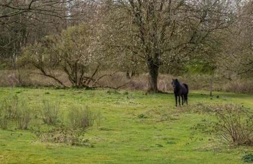 The Chapel - Foto 67