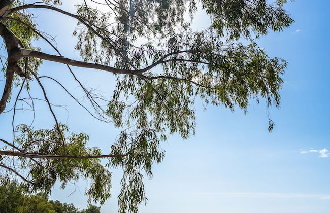 Gems of Pinakates - Foto 49