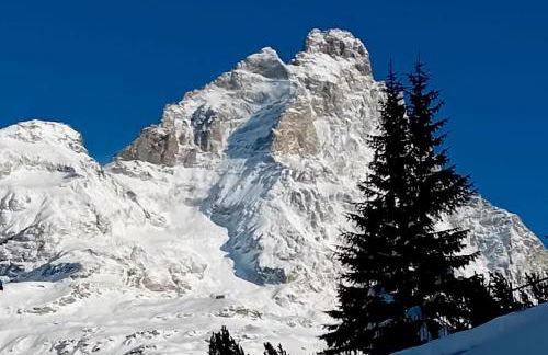 Le Flocon de neige - Foto 42