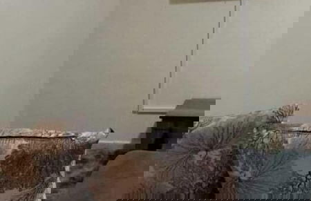 Lux Suites L&N Apartments Utawala - Photo 34