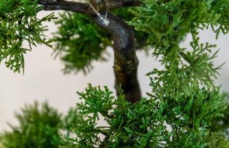 Flexible SelfCheckIns 31 - Zagreb - Garage - Loggia - New - Foto 28