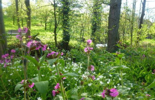 Baumanns Landhaus Durbach - Foto 8