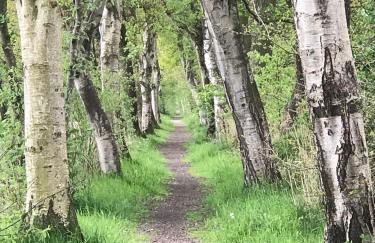 Ferienwohnung Ausguck - Foto 34