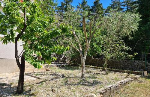 Apartman Valja - 55m2 - Sea View - Garden - Grill - Photo 26