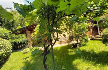 Il Fienile in Toscana A warm interior just a few minutes from the beach - Foto 50