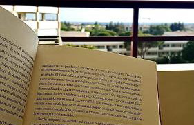 Vilamoura Avelãs Ocean View Apartment - Photo 20