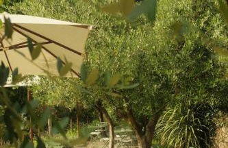 Residence Fischerhof - Foto 37