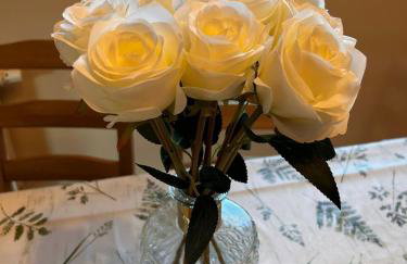 Domki Gorąca Bania - Foto 24