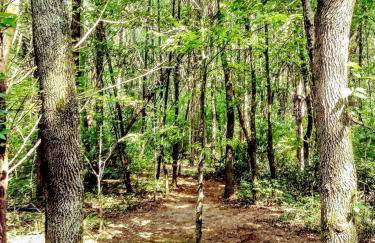 Cozy Wood Shed Tiny House Near Old Hickory Lake w/ Full Kitchen, Fire Pit & Breakfast - Foto 43