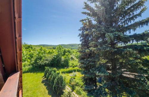 Idyllisches Ferienhaus bei Wernigerode - Foto 19