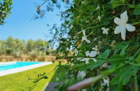 Accogliente villa con piscina - Foto 13