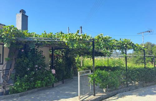 Rivers' house Tzoumerka - Foto 14