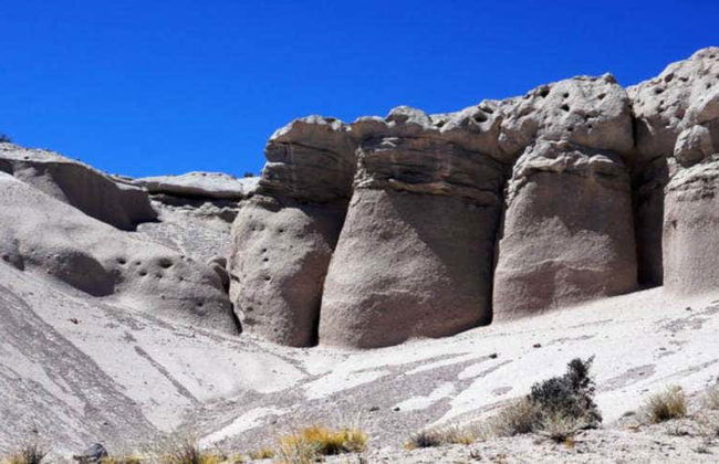 Escursione privata ai funghi di Tocota - Foto 5